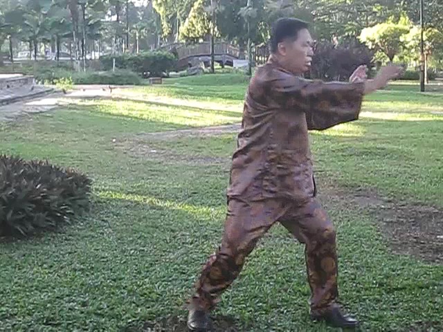 Wu Chuan You Style Taijiquan